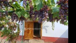 Eladó családi ház Mezőkovácsháza