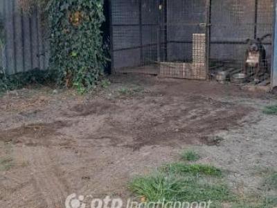 Eladó családi ház Tura