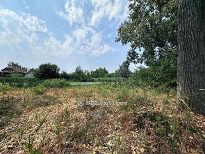 Eladó családi ház Dömsöd