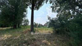 Eladó családi ház Dömsöd