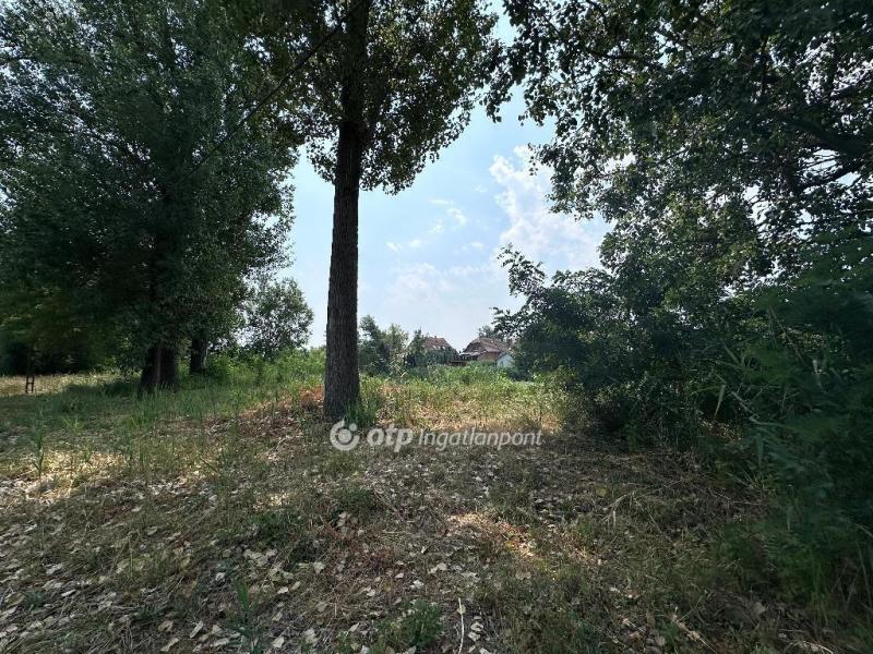 Eladó családi ház Dömsöd