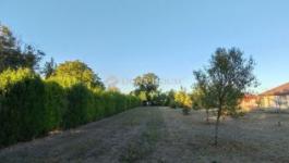 Eladó lakóövezeti telek Dabas