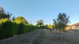 Eladó lakóövezeti telek Dabas