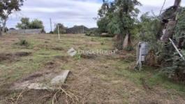 Eladó lakóövezeti telek Taksony