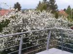 Eladó családi ház Budapest
