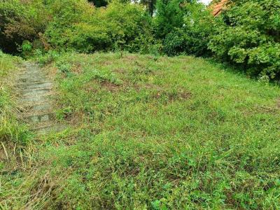 Eladó lakóövezeti telek Solymár