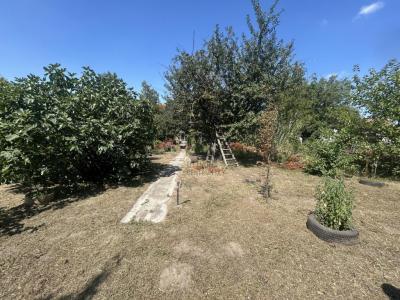 Eladó lakóövezeti telek Majosháza