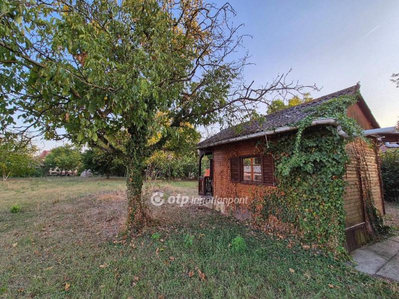 Eladó lakóövezeti telek Szentes