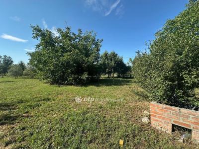 Eladó nyaraló Szentes