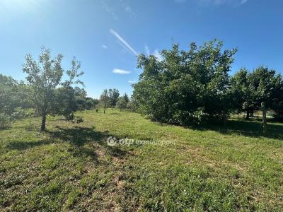 Eladó nyaraló Szentes