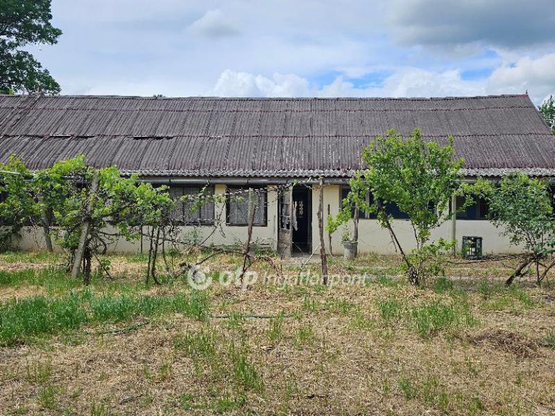 Eladó családi ház Szentes