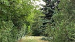 Eladó nyaraló Solymár