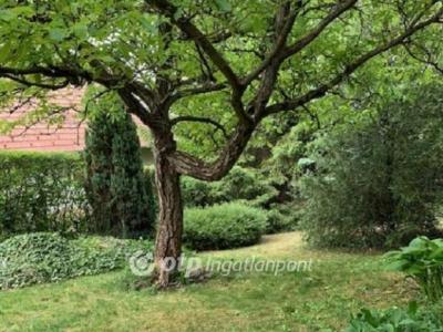 Eladó nyaraló Solymár