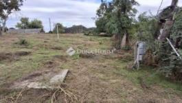 Eladó lakóövezeti telek Taksony