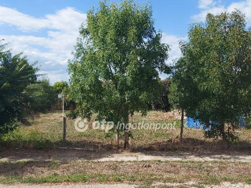 Eladó lakóövezeti telek Kunszentmárton