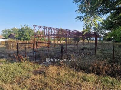 Eladó lakóövezeti telek Törökszentmiklós