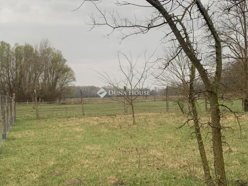 Eladó külterületi telek Őrbottyán