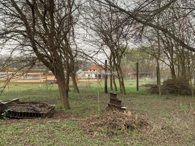 Eladó külterületi telek Őrbottyán