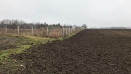 Eladó nyaraló Velence