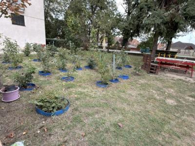 Eladó lakás Kecskemét