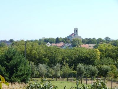 Eladó nyaraló Enying