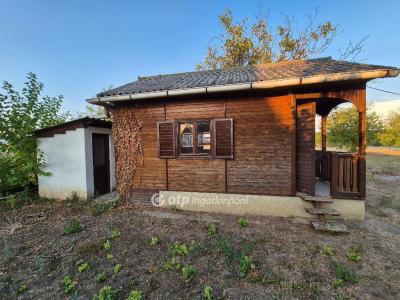 Eladó lakóövezeti telek Szentes