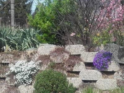 Eladó lakóövezeti telek Erdőkertes