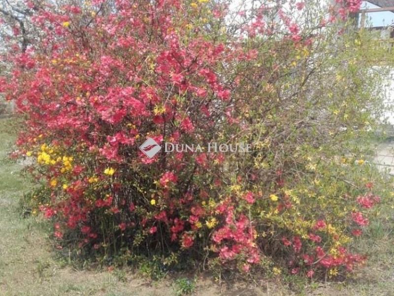 Eladó lakóövezeti telek Erdőkertes