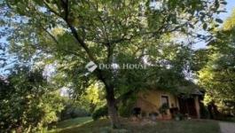 Eladó családi ház Pogány