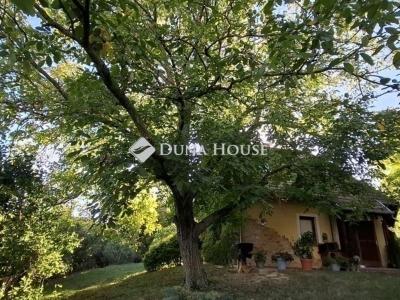 Eladó családi ház Pogány