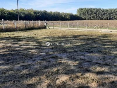 Eladó lakóövezeti telek Sáránd