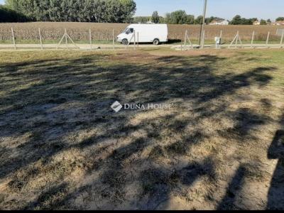 Eladó lakóövezeti telek Sáránd