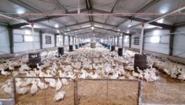 Eladó ipari terület Szentes