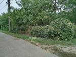 Eladó lakóövezeti telek Pécs