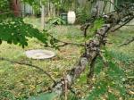 Eladó lakóövezeti telek Pécs