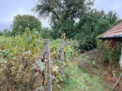 Eladó egyéb telek Monor