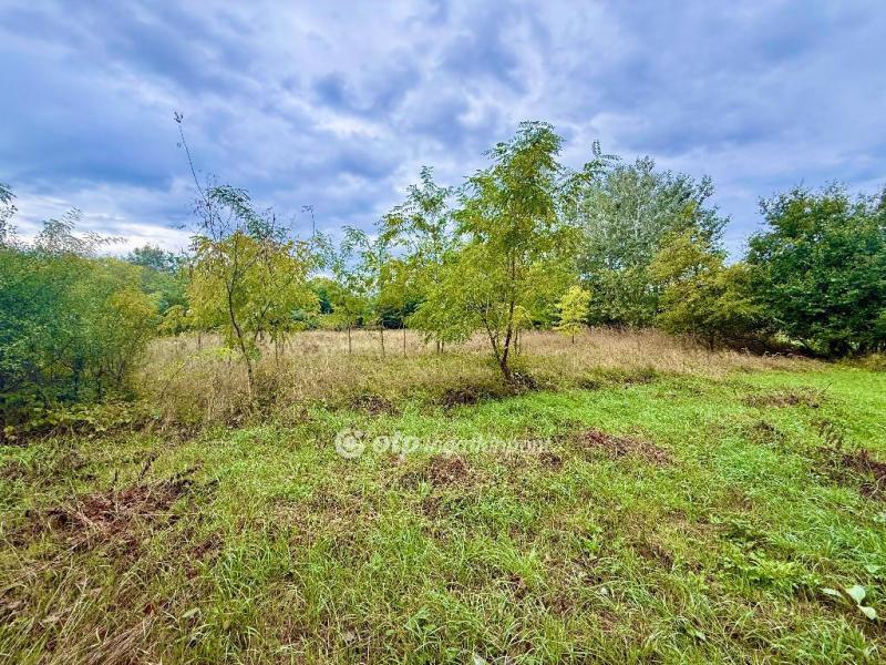 Eladó nyaraló Monor Monorierdő