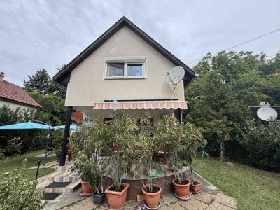 Eladó családi ház Tass