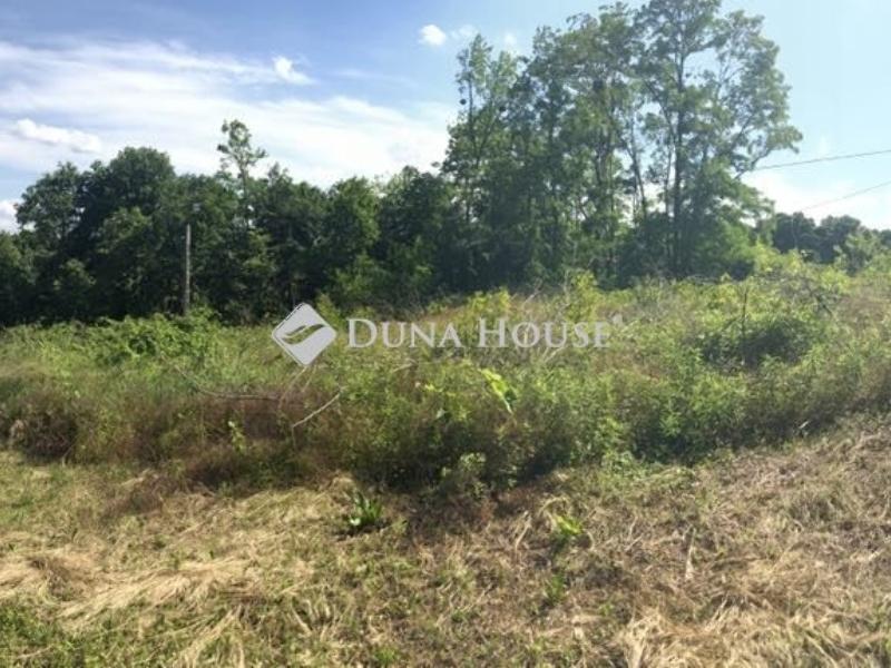 Eladó külterületi telek Bázakerettye