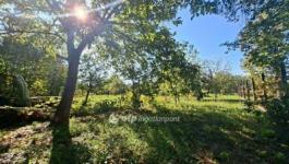 Eladó családi ház Budapest