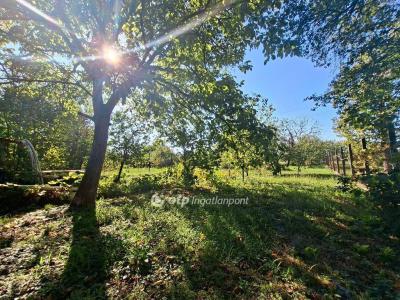 Eladó családi ház Budapest