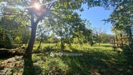 Eladó családi ház Budapest