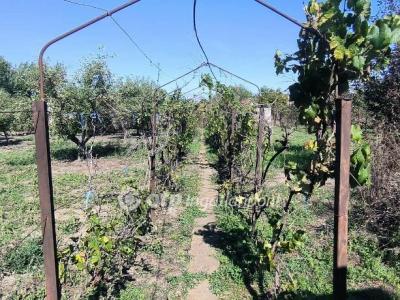 Eladó lakóövezeti telek Békéscsaba