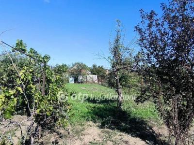 Eladó lakóövezeti telek Békéscsaba