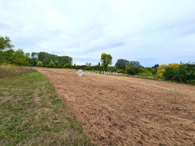 Eladó külterületi telek Tápiószecső