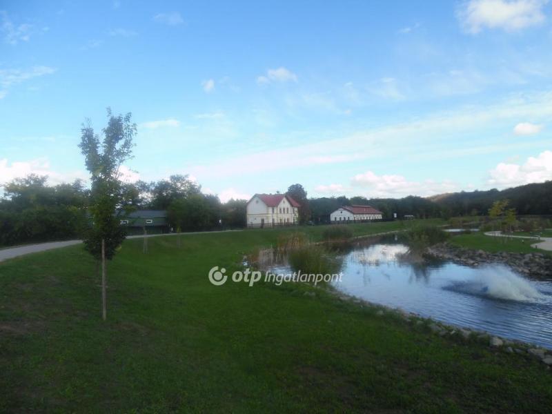 Eladó családi ház Felcsút