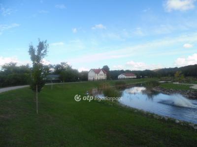 Eladó családi ház Felcsút