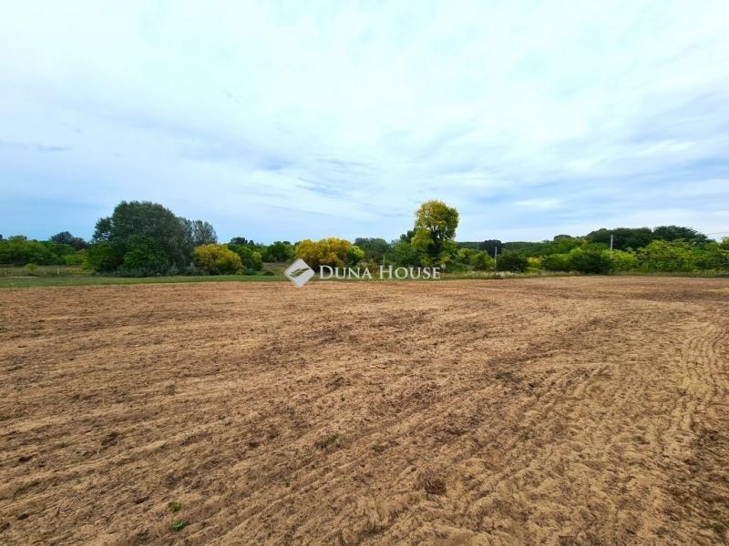 Eladó külterületi telek Tápiószecső