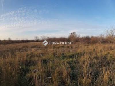 Eladó külterületi telek Maglód