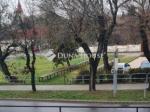 Eladó családi ház Balatonkenese